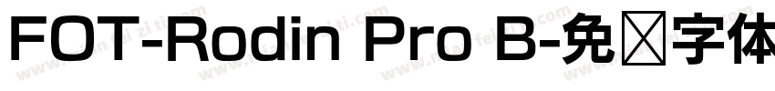 FOT-Rodin Pro B字体转换